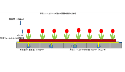 野菜フィールド年尾灌水。蒸散。降雨の循環.png