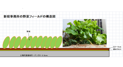 野菜フィールド構造図.png